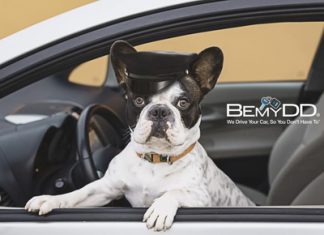 BeMyDD Launches New Year’s PuppyLovin Campaign