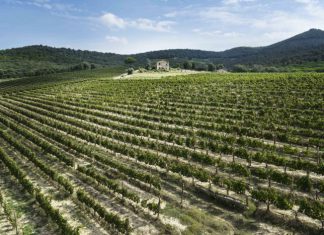 Vivino Awards Announce 2017’s Best-Rated Wines