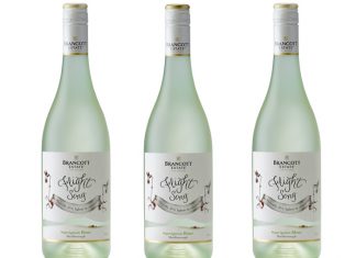 Brancott Estate Flies Light with Flight Song