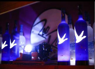Grey Goose Night Vision