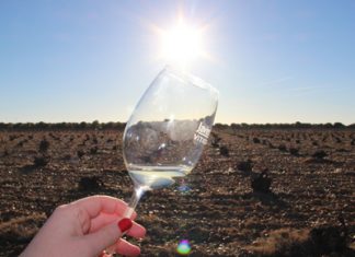 Like a Spanish Sauvignon Blanc