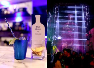 ABSOLUT UNVEILS THE ABSOLUT ELECTRIK HOUSE